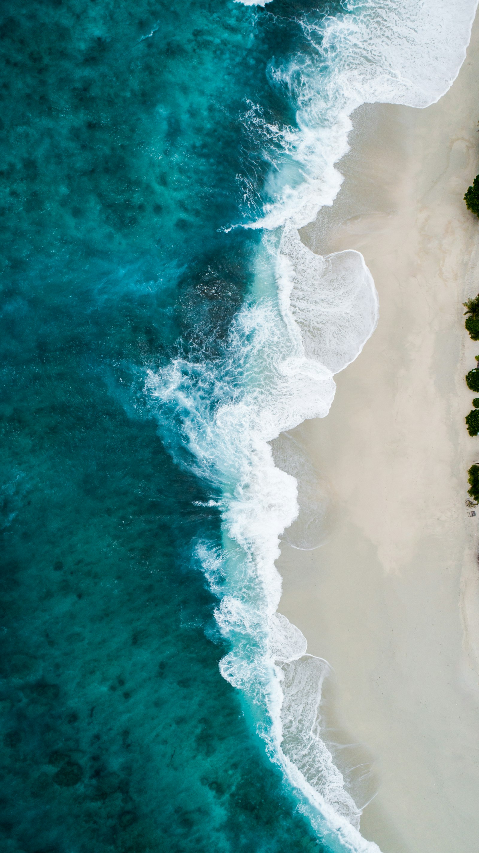 Resgate em terra e mar